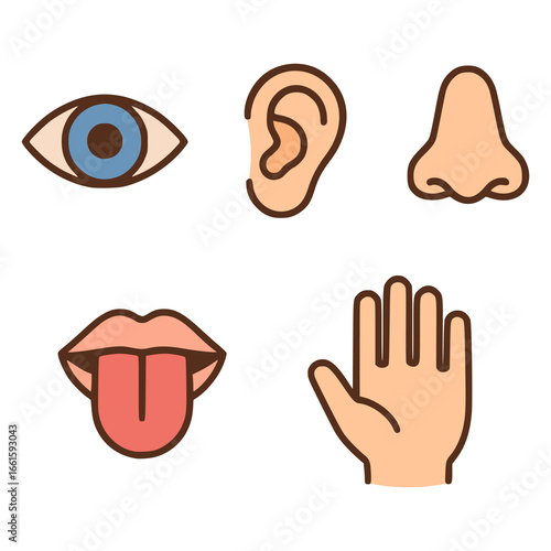 human five sense flat color vector illustration template design