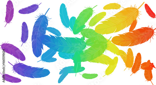 Colorful feathers arranged in a cascade showcasing a gradient spectrum from violet to red