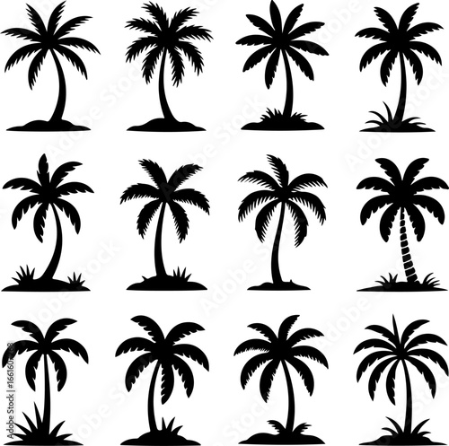 black silhouette palm tree illustrations