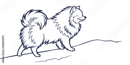 outlined-drawing-of-a-fluffy-pomeranian-dog--r-sol.eps