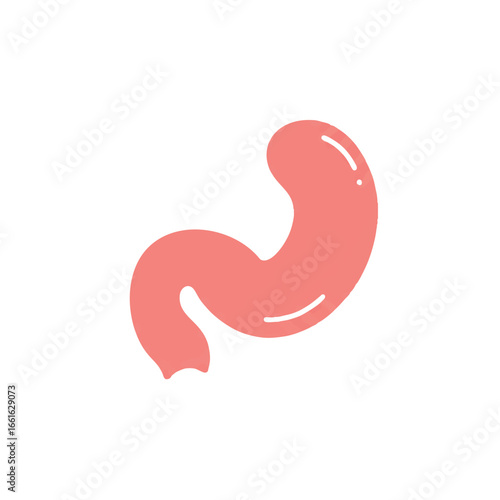 A minimalist 2D flat vector illustration of the human appendix, presented as a small curled shape in solid pale red with clean lines, isolated on a pure white background.