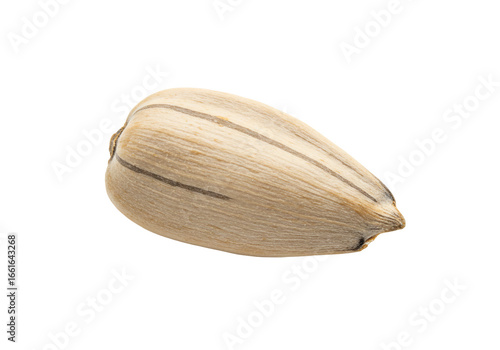 Wallpaper Mural Single sunflower seed macro photography close up beige texture isolated transparent background food and agriculture image Torontodigital.ca