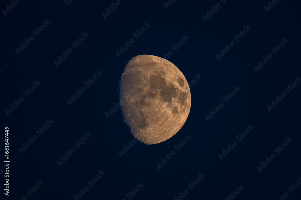 Obraz premium moon