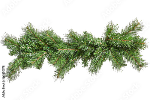 Green pine garland with dense needles and branches isolated on transparent background