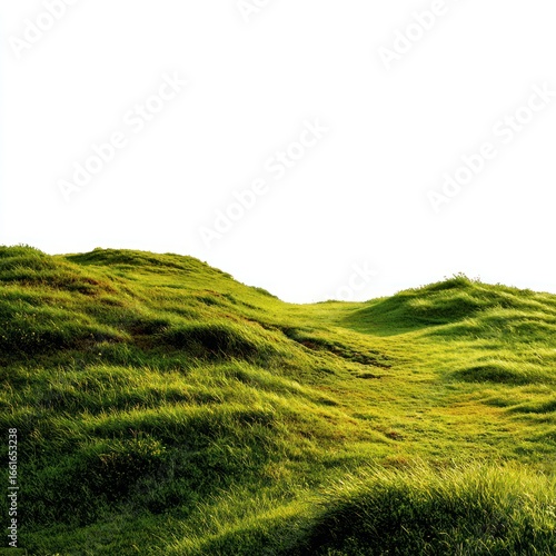 rolling hills with grass PNG no background