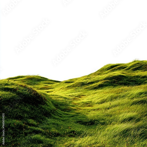 rolling hills with grass PNG no background 