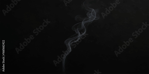 Swirling blue smoke curves gracefully against a dark background, a smooth pattern of motion from a burning incense stick