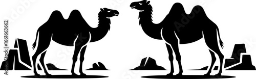 a black and white vector-style illustration featuring two camels standing separately in a desert-like landscape