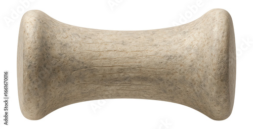 Elongated ichthyosaur vertebra with spool-shaped centrum