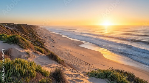 Undisturbed sand dunes under golden morning light, Skeleton Coast horizon blending into Namib Desert's curves