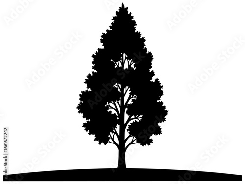 Poplar tree under sunny sky with broken branches on mountain slope