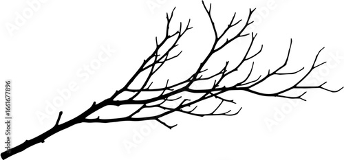 A bare branch Vector 
