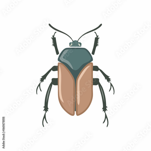Stylized illustration of a brown and teal beetle with segmented legs and antennae