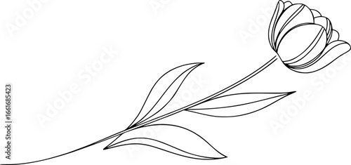 Minimalist Continuous Line Drawing of Tulip Flower with Leaves"