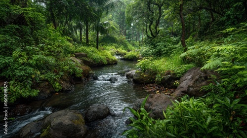 Lush green forest stream flowing over dark mossy rocks. Serene natural landscape with abundant tropical vegetation and tall trees in wilderness.