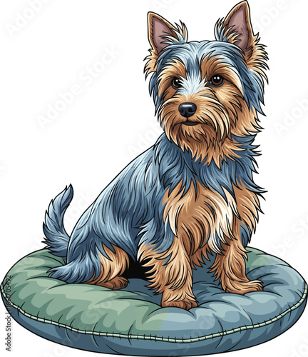 Australian Silky Terrier dog sitting on cushion cute vector illustration