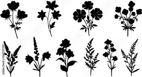 floral background with flowers 