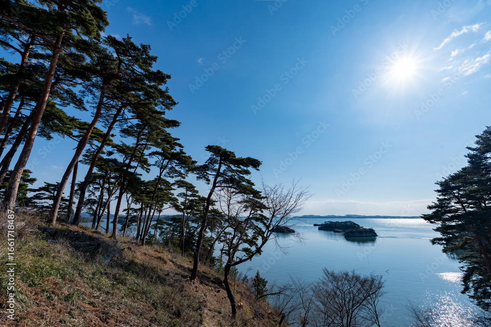 Obraz premium 冬の松島の海岸線