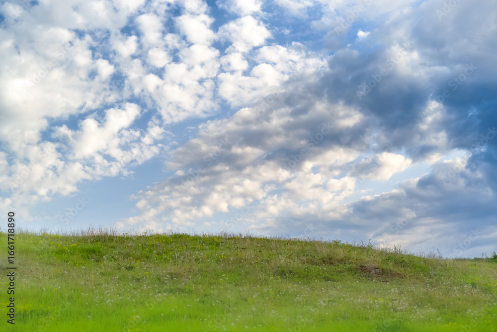 Fototapeta premium Green meadow under blue sky with textured cumulus clouds, cloudy sky over meadow with green grass and dandelions, landscape with blue sky and green meadow.