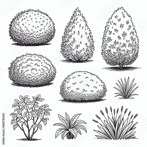 Ornamental Bush and Grass Vector Set  Shrub Silhouette, Landscape Greenery, Decorative Plant Elements for Garden Design