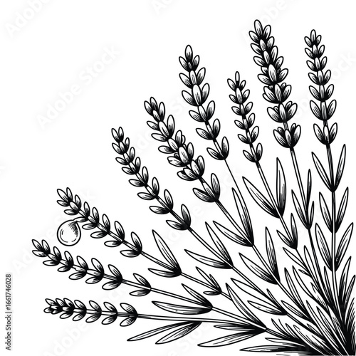 Bush and Shrub Silhouette Vector Pack  Grass, Plant, Foliage, Landscape Elements, Garden Nature Clipart for Design & Print