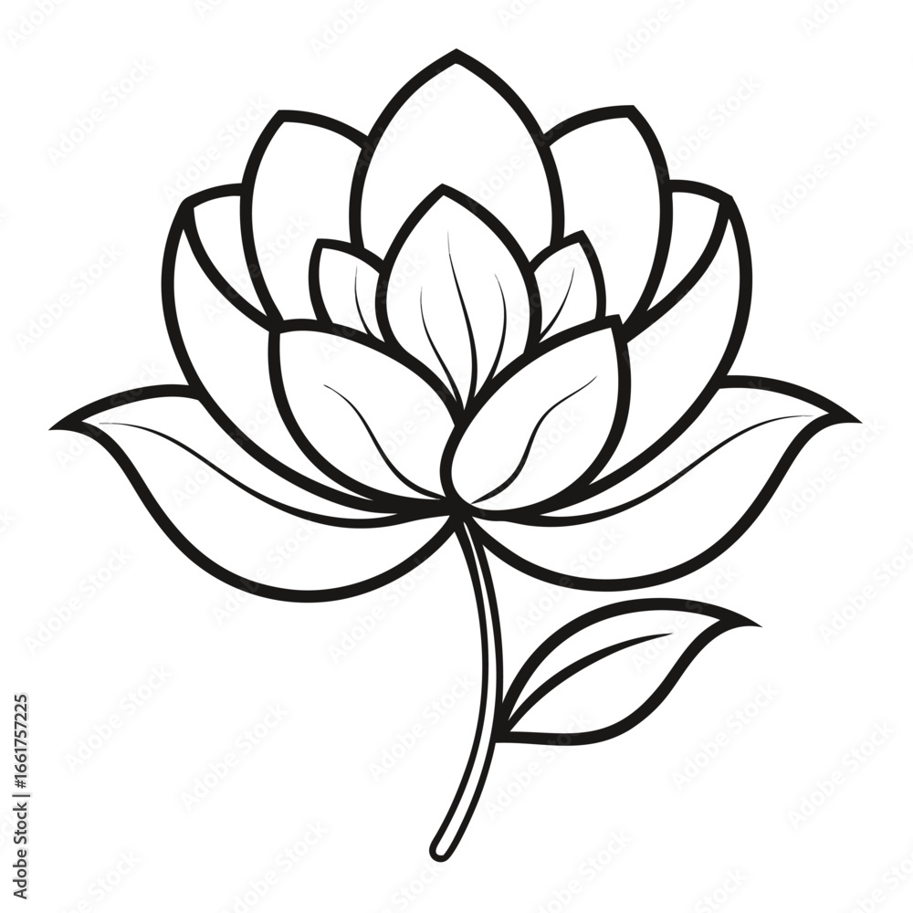 Fototapeta premium vector illustration yulan flower line art