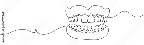 Teeth, oral cavity, dentures, continuous, hand drawn vector lines, editable strokes.