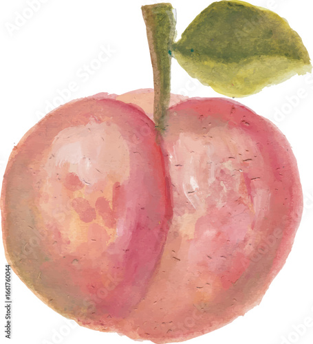 Watercolor Peach with Stem and Leaf