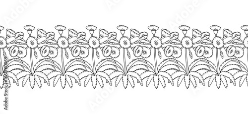 Stripe pattern with black and white line art canary islands flowers Tree Sonchus. Floral horizontal seamless border