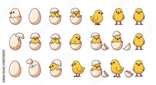 Illustration showing the hatching process of a chick from an egg in stages
