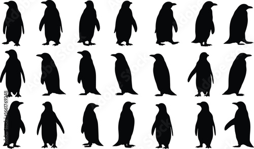 Penguin silhouette vector, antarctic bird illustration, wildlife animal icon, black penguin design, arctic nature symbol, flightless bird graphic, colony artwork