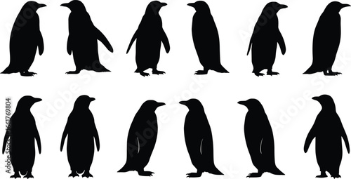 Penguin silhouette vector, antarctic wildlife illustration, arctic bird graphic, black penguin design, flightless bird icon, penguin colony artwork, nature animal symbol