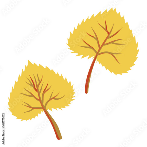 Poplar tree yellow leaf illustration. Autumn heart shaped leaves with red stem and veins. Isolated vector elements. 