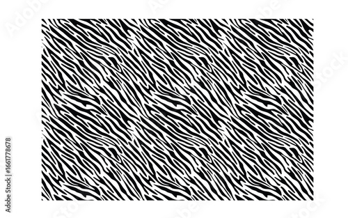 Zebra Seamless Pattern, Black and White Animal Print Background for Fashion, Fabric, Textile, Wallpaper, and Graphic Design