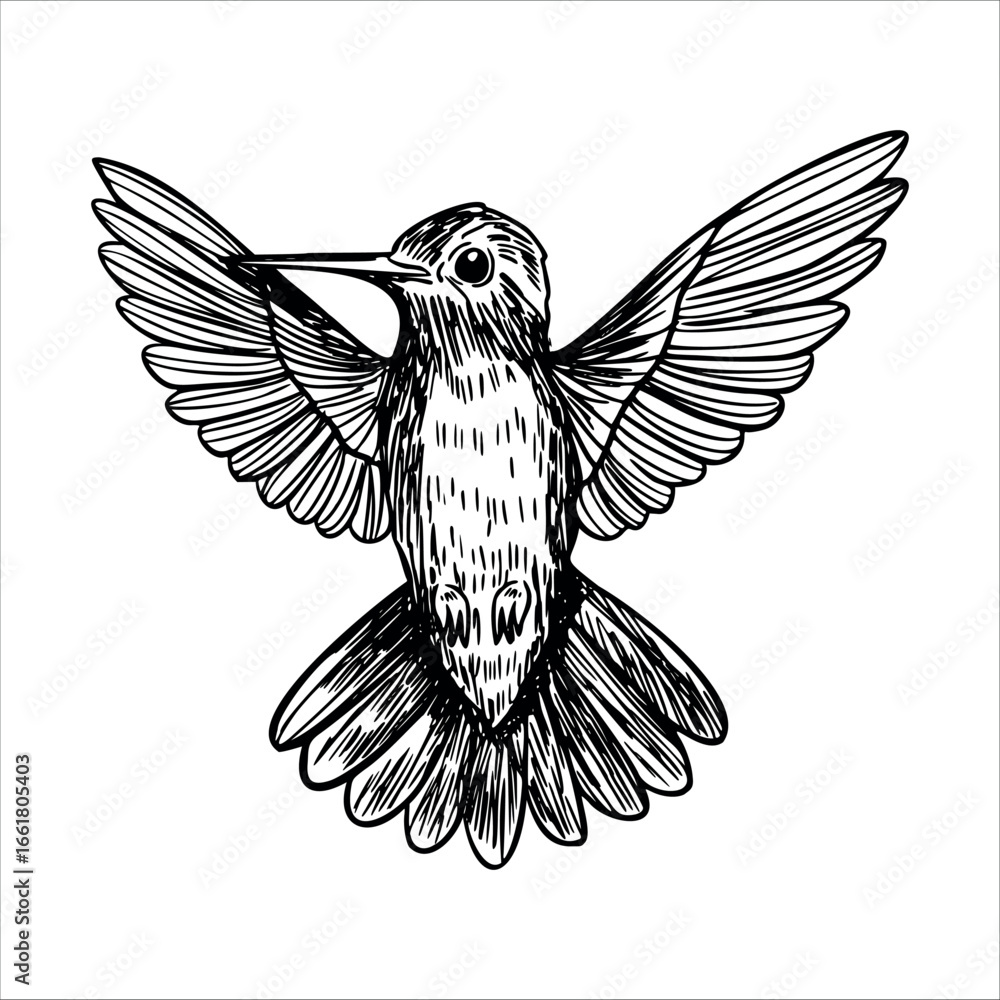 Obraz premium A detailed illustration of a hummingbird in flight. The bird has iridescent feathers and is depicted with wings spread wide, showcasing its agility and beauty.