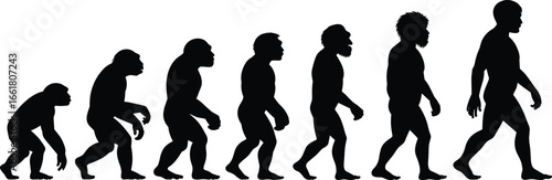 Evolution of man silhouette, human development stages, prehistoric to modern man, biological evolution, anthropology concept, growth progression, black vector illustration