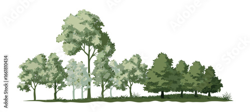 front View Vector Icons of Trees and Plants for Floor Plan and Architectural Design Projects	