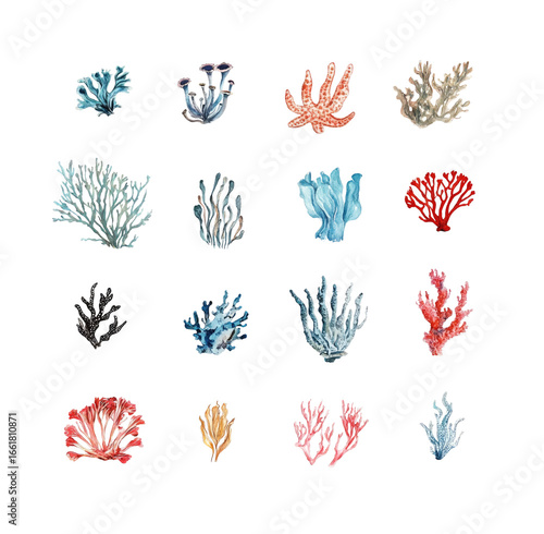 Watercolor set of sea corals and algae on a white background.