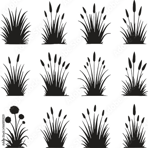 Silhouette illustration of grass and reeds isolated on white background