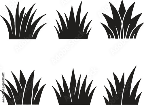 Black and white grass tufts vector illustration design set isolated