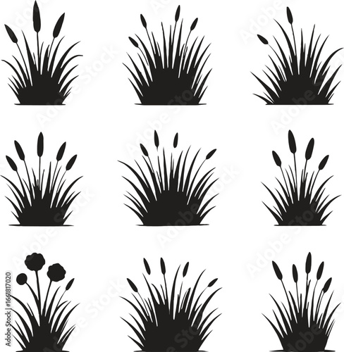 Set of reed grass and cattail silhouette vector illustrations isolated