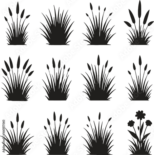 Silhouette grass and reed bushes vector set for design elements