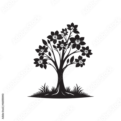Dogwood Tree Silhouette Isolated on White Background.