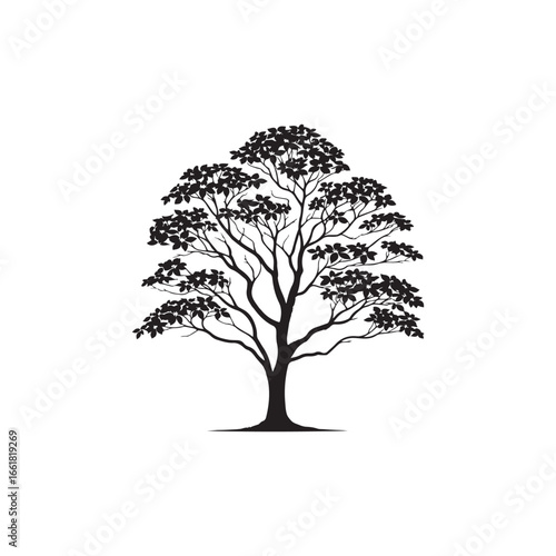 Dogwood Tree Silhouette Isolated on White Background.