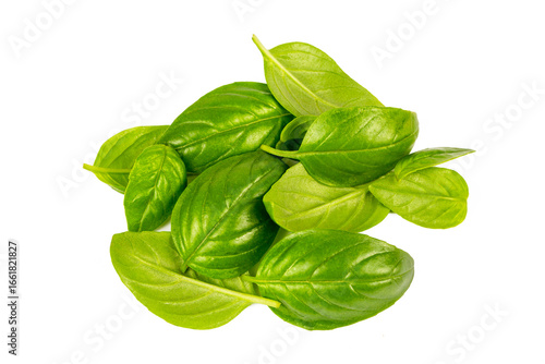 Fresh basil leaves isolated...