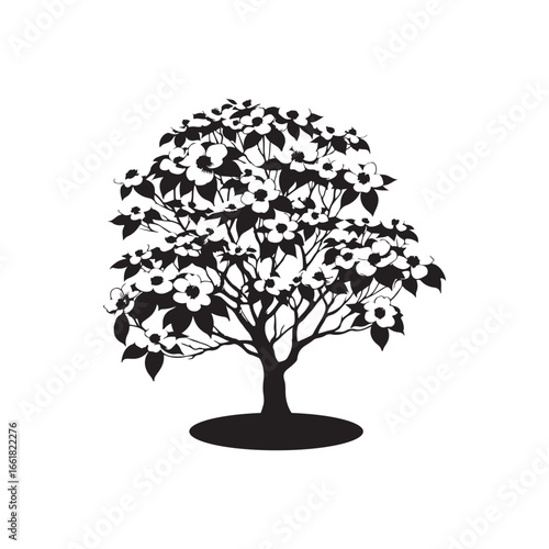 Dogwood Tree Silhouette Isolated on White Background.