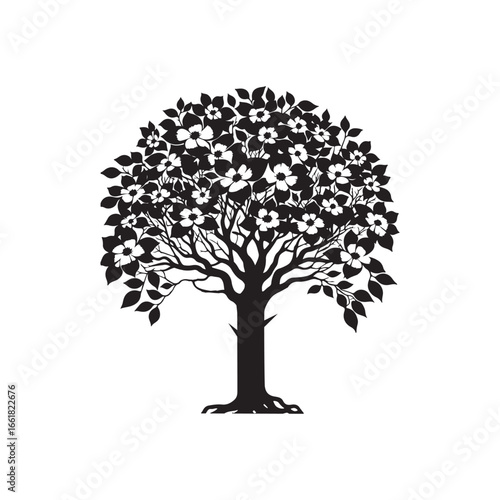 Dogwood Tree Silhouette Isolated on White Background.