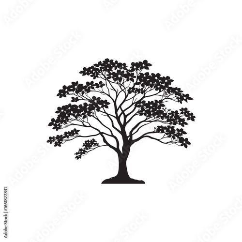 Dogwood Tree Silhouette Isolated on White Background.