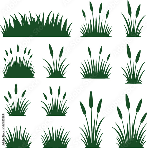 Collection of green grass and cattails vector illustration on white