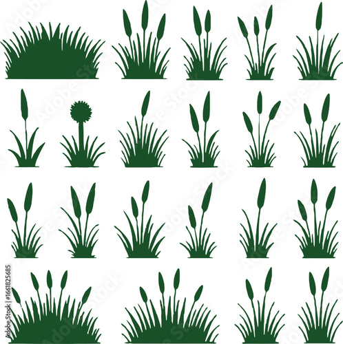 Collection of green grass and cattails silhouette vector illustration design